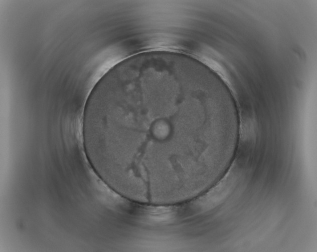 X0000113241338200910011318