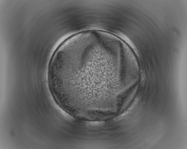 X0000113241339200910011318