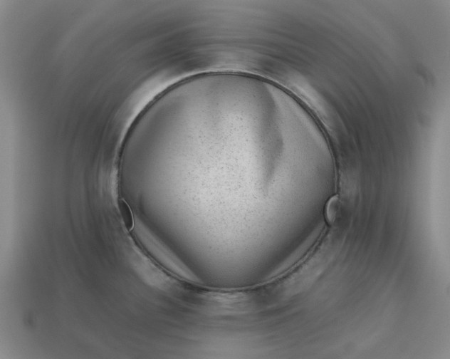 X0000113241340200910011318