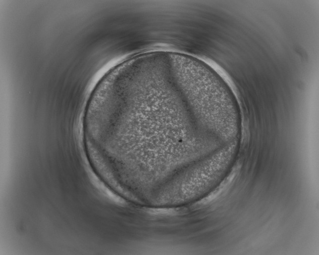 X0000113241341200910011318