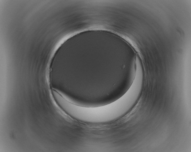 X0000113241342200910011318