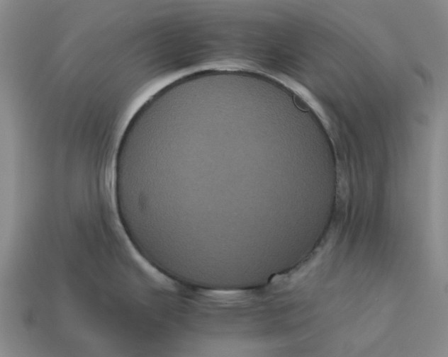 X0000113241343200910011318