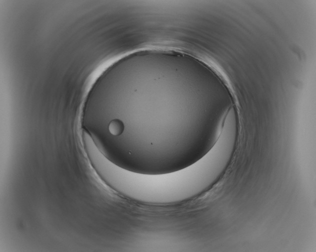 X0000113241344200910011318