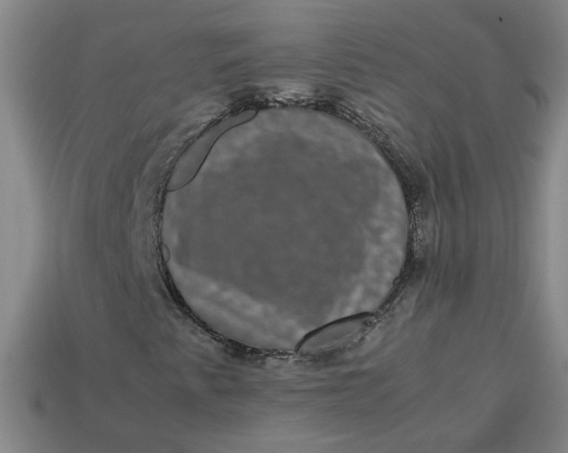 X0000113241345200910011318