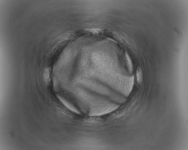 X0000113241347200910011318