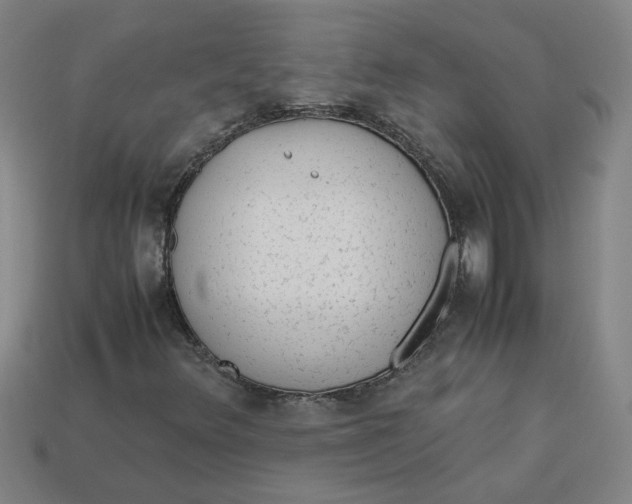 X0000113241348200910011318