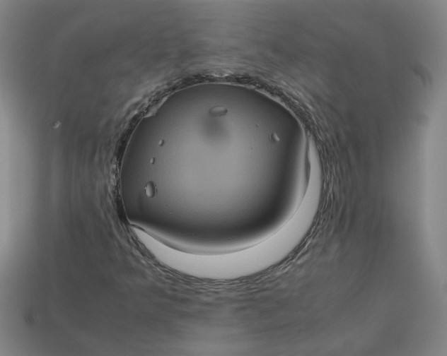 X0000113241349200910011318