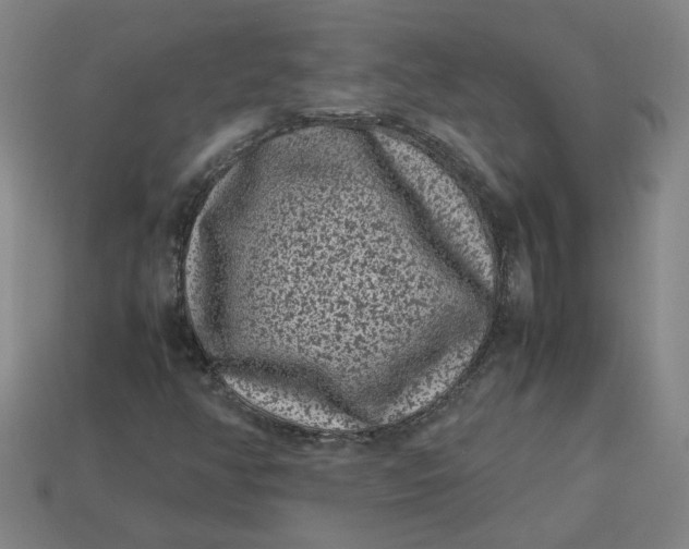 X0000113241350200910011318