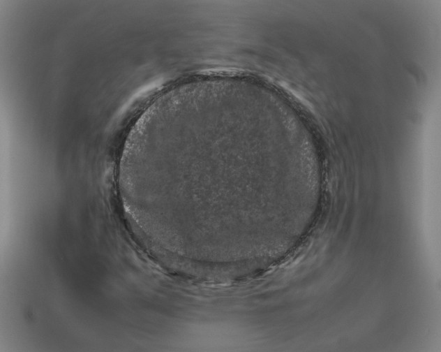 X0000113241351200910011318