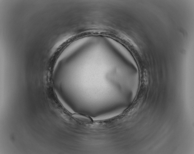 X0000113241352200910011318