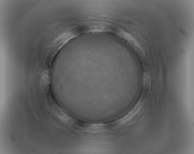 X0000113241353200910011318