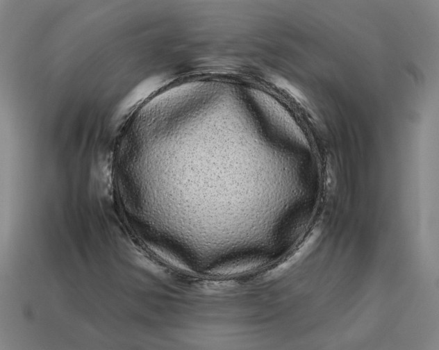 X0000113241354200910011317