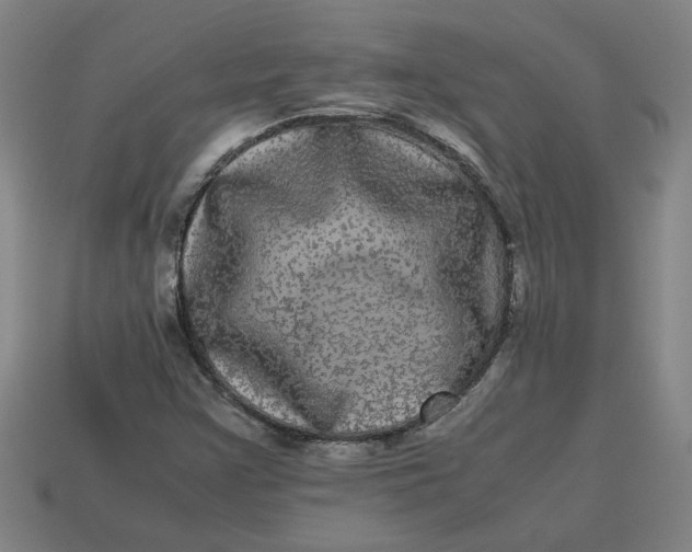 X0000113241355200910011317