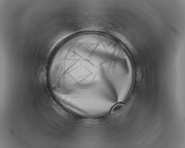 X0000113241356200910011317