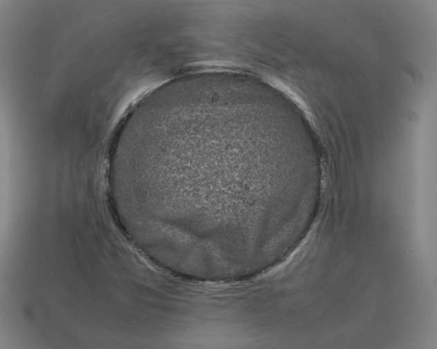 X0000113241357200910011317