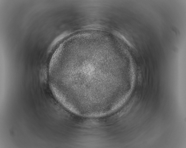 X0000113241358200910011317