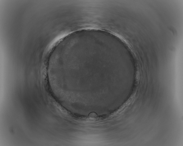 X0000113241359200910011317