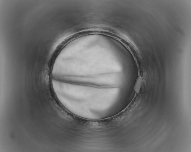 X0000113241360200910011317