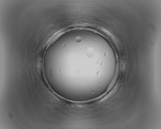 X0000113241361200910011317