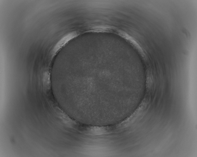 X0000113241362200910011317