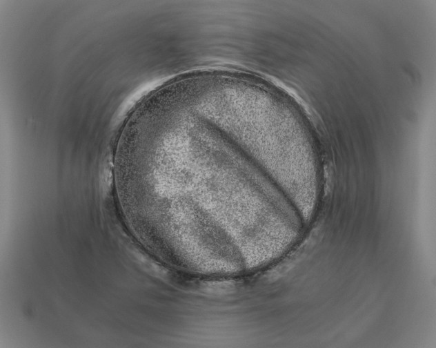 X0000113241363200910011317