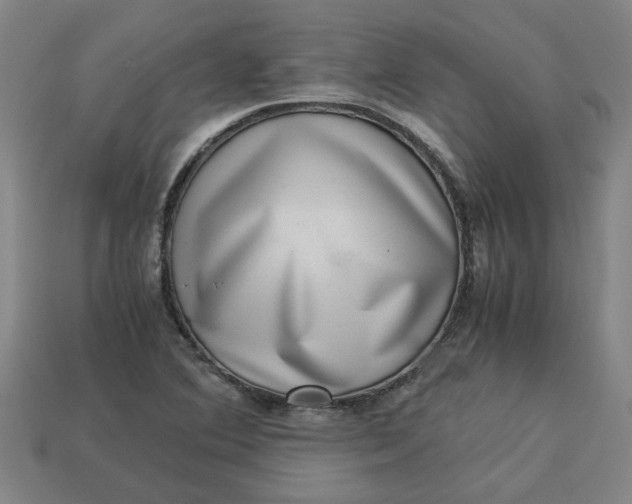 X0000113241364200910011317