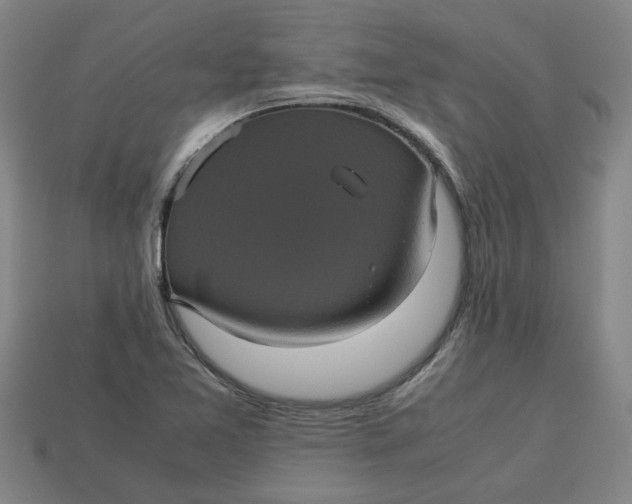 X0000113241365200910011317