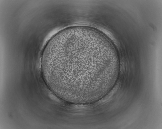 X0000113241366200910011317