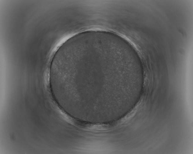 X0000113241367200910011317