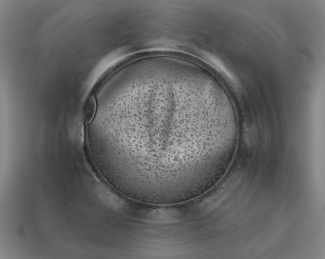 X0000113241368200910011317