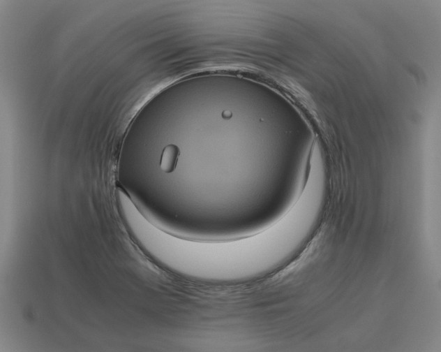 X0000113241369200910011317