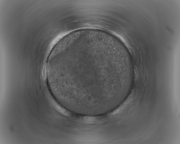 X0000113241371200910011317