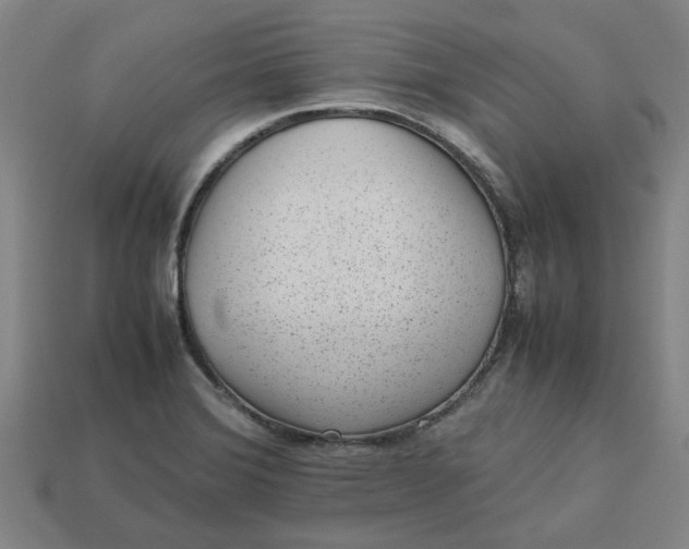 X0000113241372200910011317