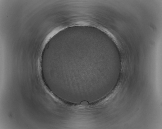 X0000113241373200910011317