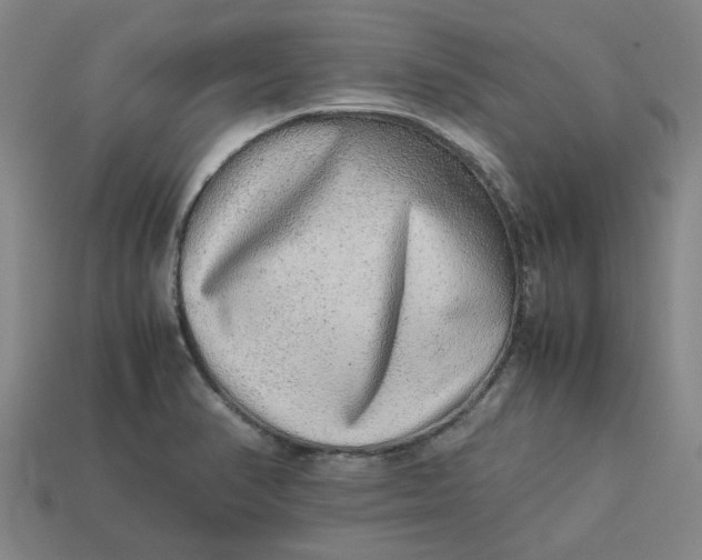 X0000113241374200910011317