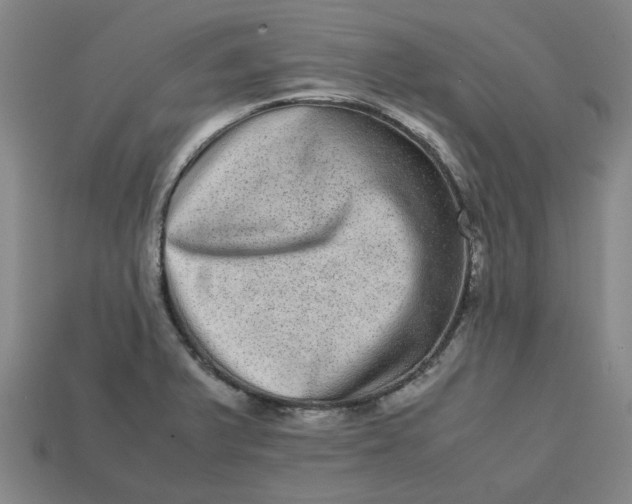 X0000113241375200910011317