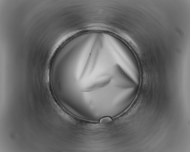 X0000113241376200910011317