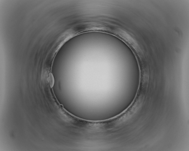 X0000113241377200910011317