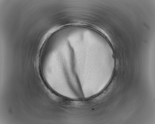 X0000113241379200910011317