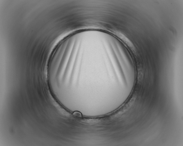 X0000113241380200910011317