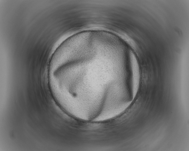 X0000113241382200910011317