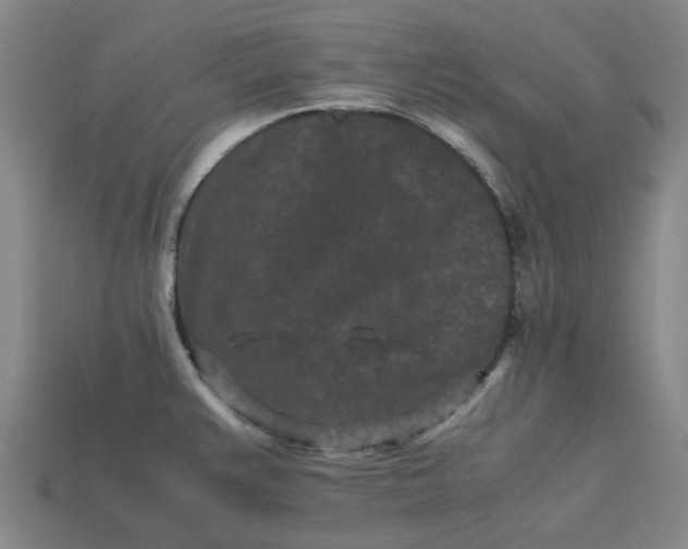 X0000113241383200910011317