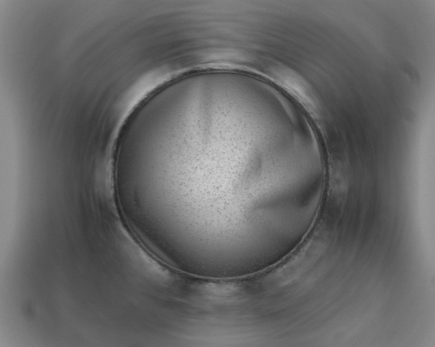 X0000113241384200910011317