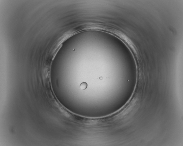 X0000113241385200910011317