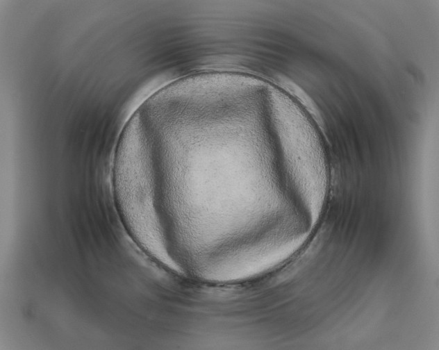 X0000113241386200910011317