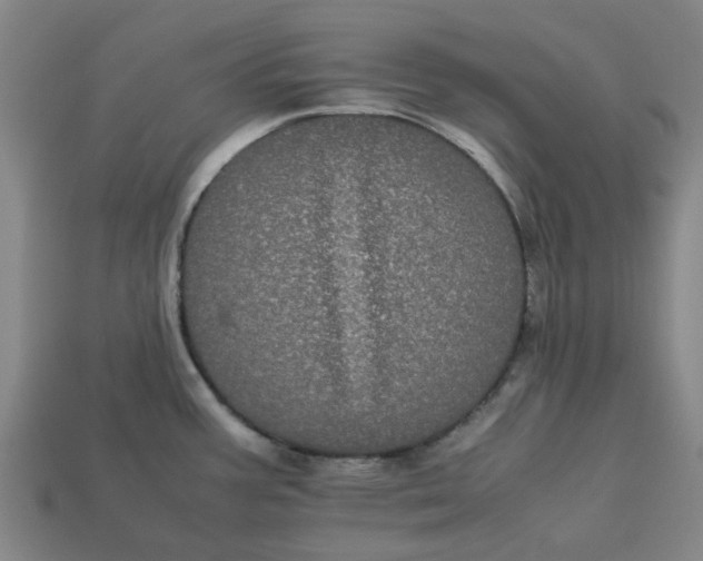 X0000113241387200910011317