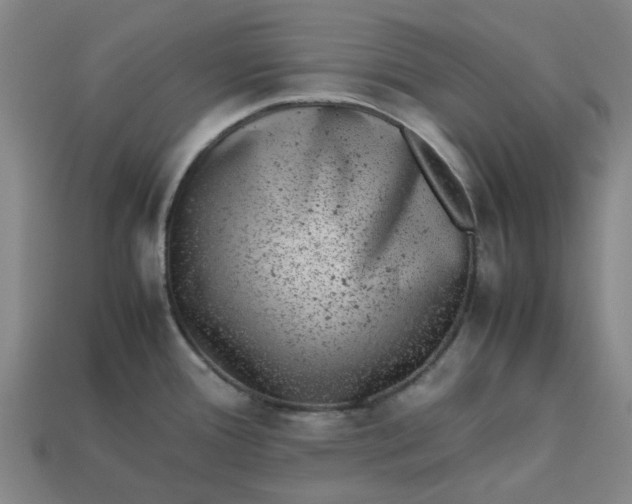 X0000113241388200910011317