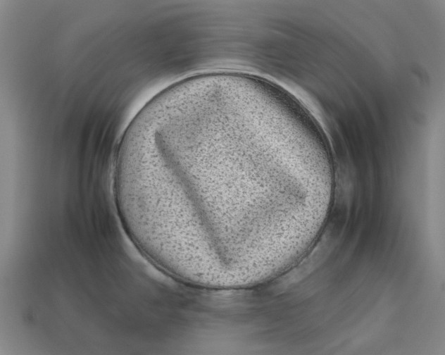 X0000113241390200910011317