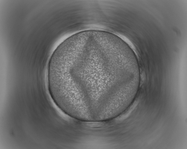 X0000113241391200910011317