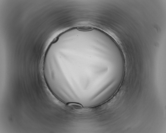 X0000113241392200910011317